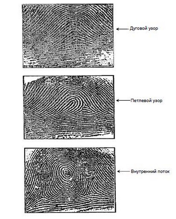 Тип и вид узоров пальцев рук. Тип и вид узоров пальцев рук. Дактилоскопия типы папиллярных узоров. Дуговой тип папиллярных узоров. Тип и вид узоров пальцев рук.